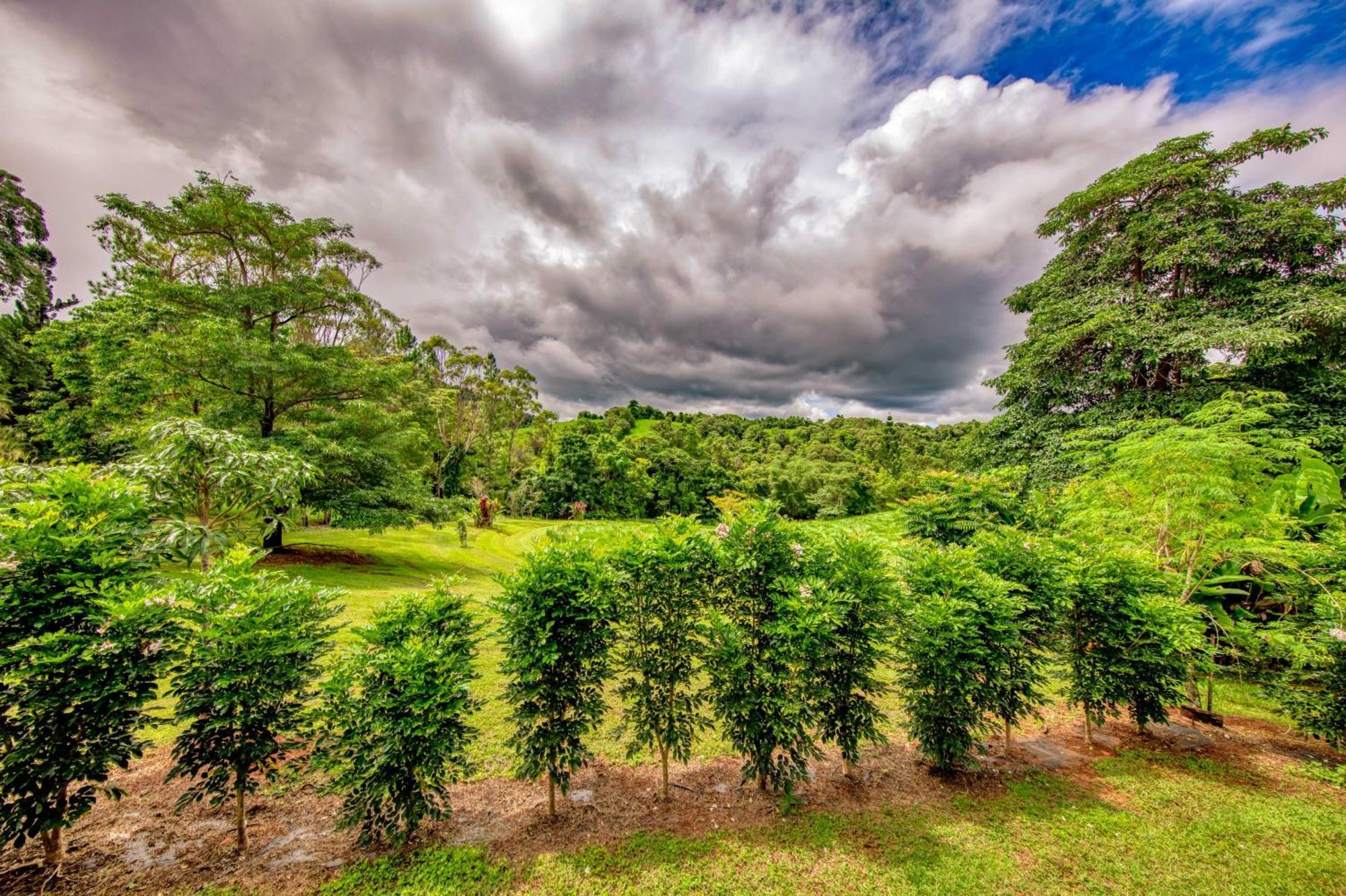 Mena Creek Flower House ภายนอก รูปภาพ