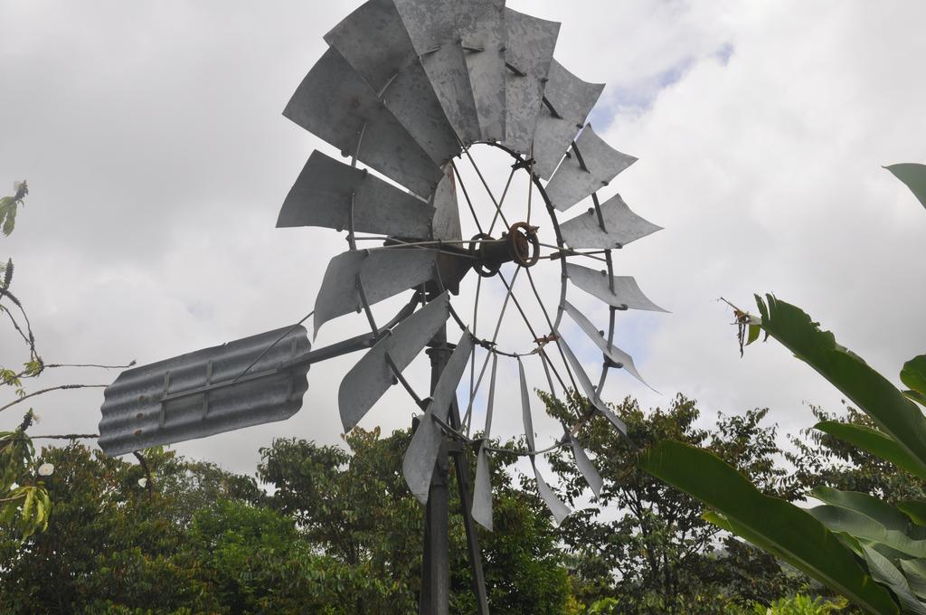 Mena Creek Flower House ภายนอก รูปภาพ